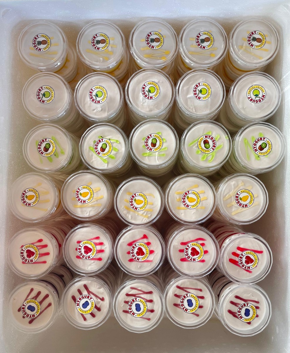 nyogurt - the coconut yogurt in malaysia